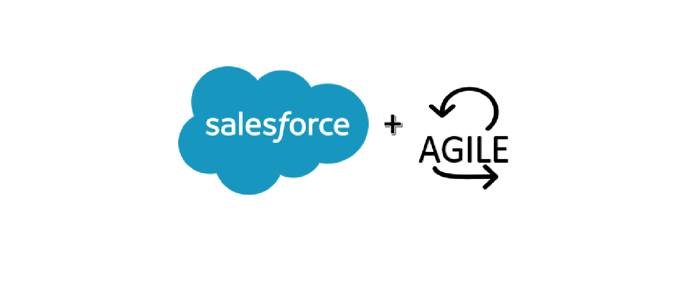 Salesforce Agile