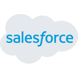 salesforce development partners