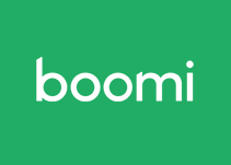 Boomi Hover Logo